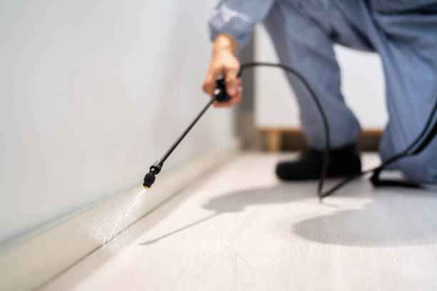 Licensed Termite Control service in Norwood, OK - Nex Pest Control