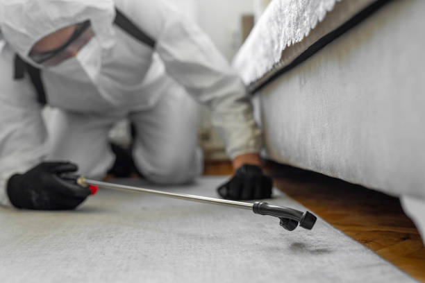 Professional Termite Control technician working in Norwood, OK