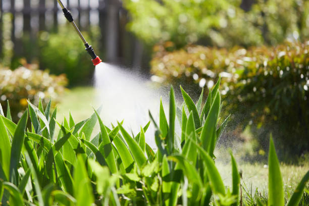 24/7 Emergency Termite Control experts in Norwood, OK