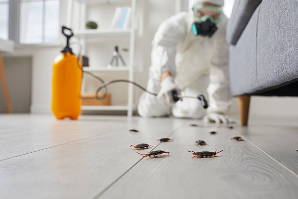 Trusted Cockroach Control service in Norwood, OK - Nex Pest Control